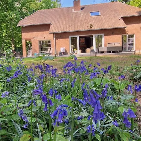 A Chardonnerets By La Maison De Mel *