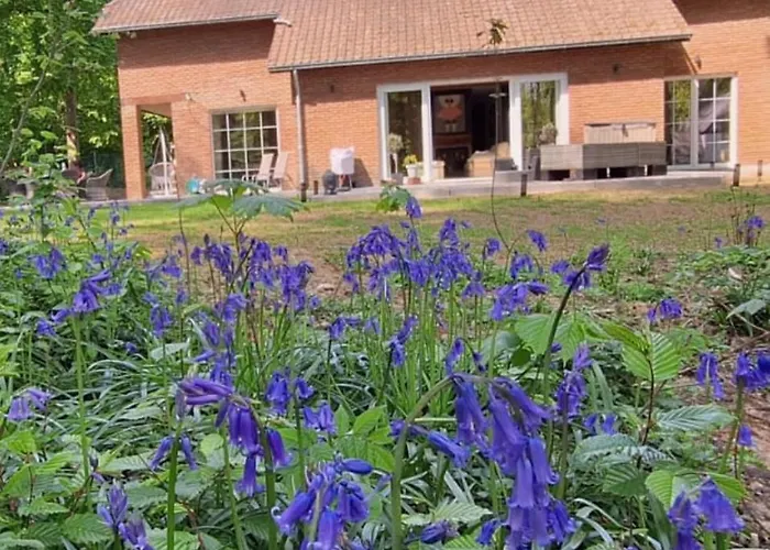 A Chardonnerets By La Maison De Mel *